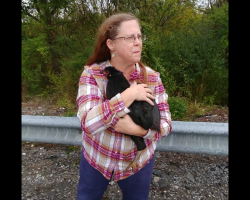 Rescued this sweet girl from an I-75 exit ramp. At first glance, I thought she was a crow!