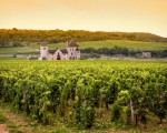 Clos vougeot Castle