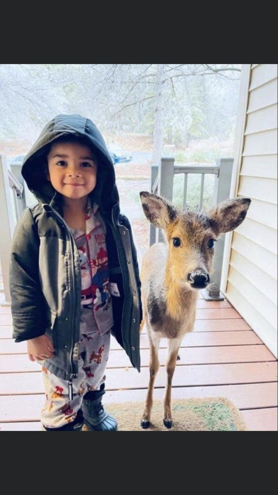 When technology allows us to capture moments in time to share with others of our kind… Here is a child who told a deer he has cereal at home if the deer would like to have some!… And the deer fallows him to his home.