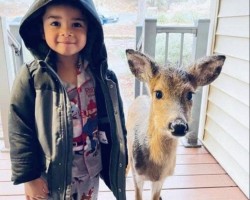 When technology allows us to capture moments in time to share with others of our kind… Here is a child who told a deer he has cereal at home if the deer would like to have some!… And the deer fallows him to his home.