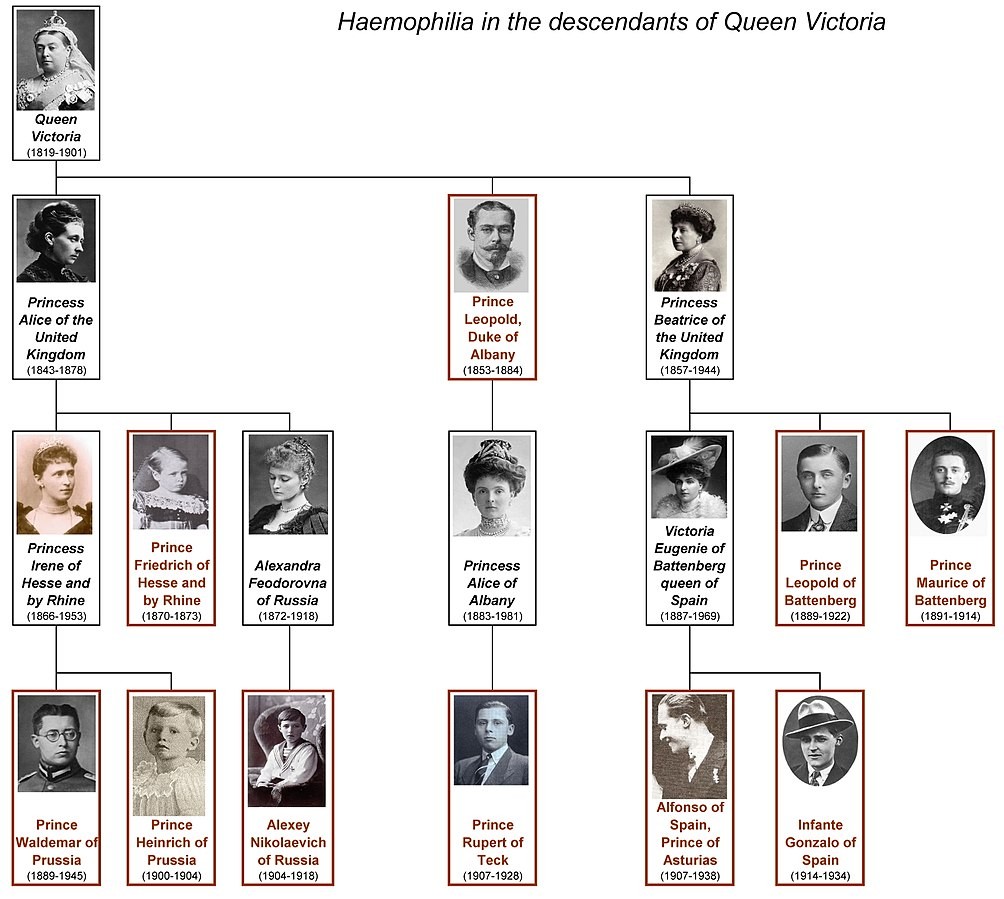 Is haemophilia more common in people who are Rh(D) negative? One interesting thing is the high frequency of it in a family with high frequencies of O negative blood:
https://www.rhesusnegative.net/staynegative/haemophilia-in-european-royalty/