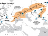 Were the Yamnaya responsible for Rh negative frequencies in Europe today?