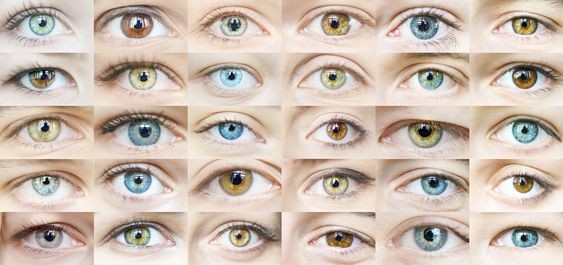 admin - View blog - Can your eye color change?