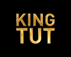 Was King Tut Rh Negative?