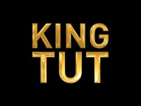 Was King Tut Rh Negative?
