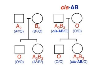 #cisAB is the reason why some people with blood type AB can produce children with blood type O