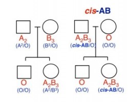 #cisAB is the reason why some people with blood type AB can produce children with blood type O