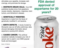 Aspertame is made from the feces of genetically modified E. coli bacteria.