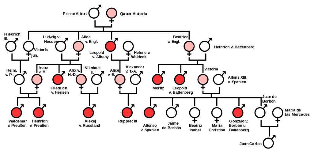 Inheritance by female carriers
https://www.rhesusnegative.net/staynegative/haemophilia-in-european-royalty/