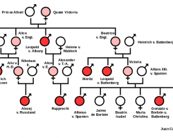 Inheritance by female carriers
https://www.rhesusnegative.net/staynegative/haemophilia-in-european-royalty/