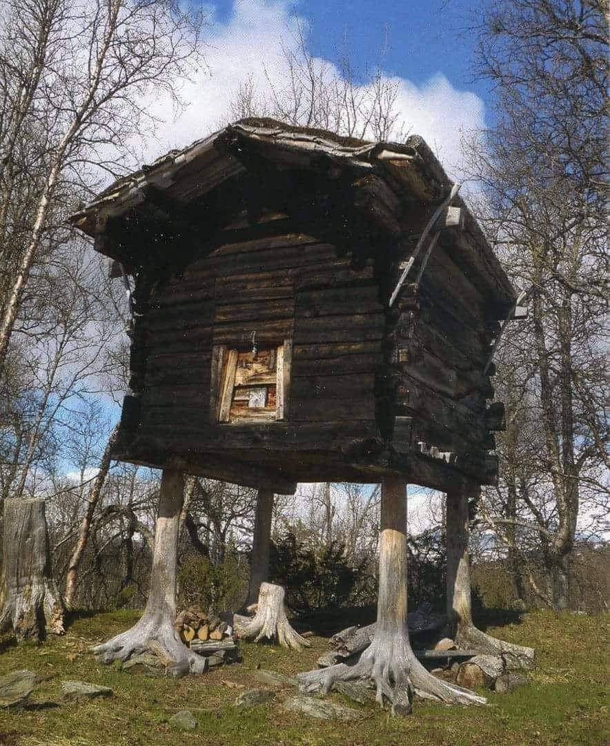 Traditional Sami storehouses were raised structures built by Sami people to keep their food safe from predators.Samis are living in the Scandinavian peninsula