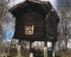 Traditional Sami storehouses were raised structures built by Sami people to keep their food safe from predators.Samis are living in the Scandinavian peninsula