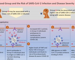 Proposed mechanisms for association between ABO blood type and SARS‐CoV‐2 infection