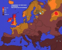 https://www.rhesusnegative.net/staynegative/was-the-khvalynsk-culture-high-in-rhd-negative-frequencies/