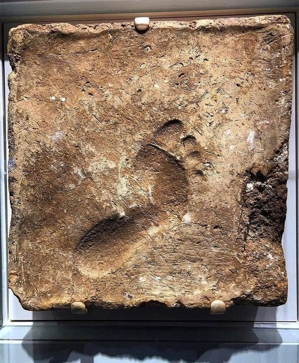 This footprint captures the moment, over four thousand years ago, when someone stepped barefoot on a mud brick left to dry in the sun, 2000 BC, Ur (Iraq).