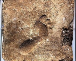 This footprint captures the moment, over four thousand years ago, when someone stepped barefoot on a mud brick left to dry in the sun, 2000 BC, Ur (Iraq).