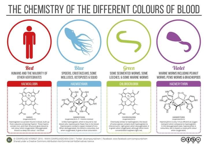 The Chemistry of the Different Colors of Blood