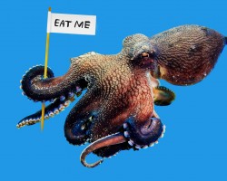 One thing I simply cannot eat is octopus. How about you?