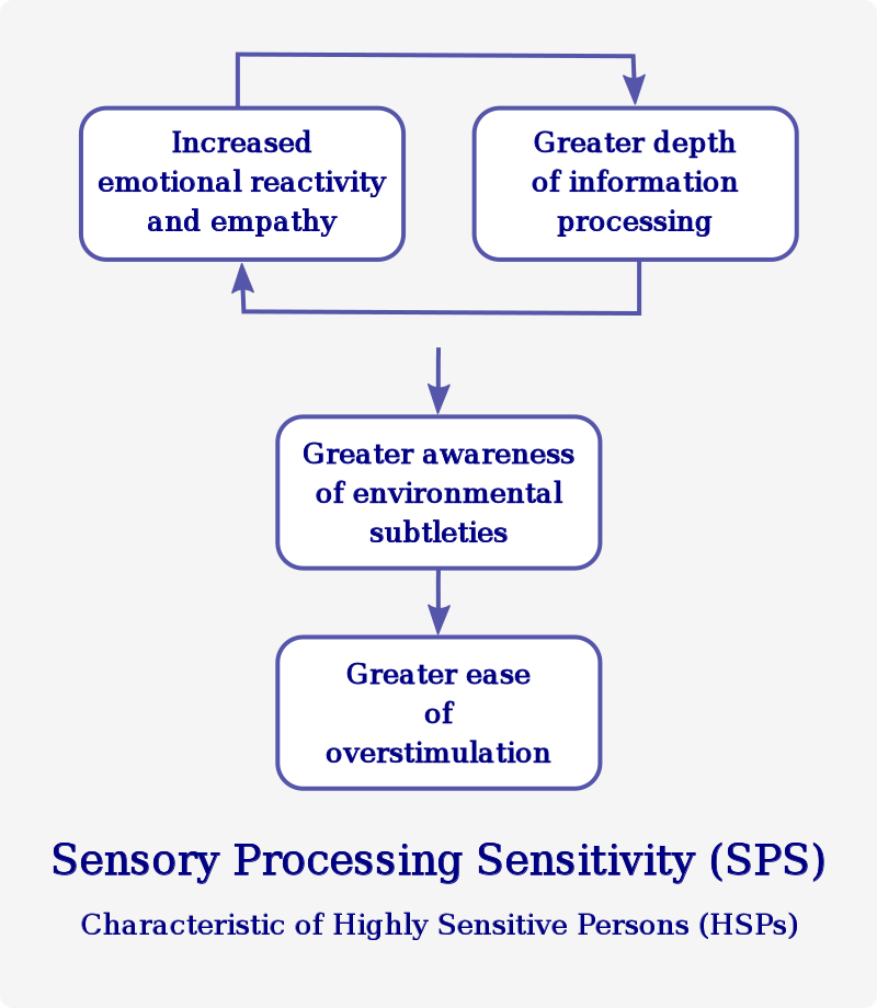 Sensory processing sensitivity is a temperamental or personality trait involving “an increased sensitivity of the central nervous system and a deeper cognitive processing of physical, social and emotional stimuli”.