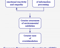 Sensory processing sensitivity is a temperamental or personality trait involving “an increased sensitivity of the central nervous system and a deeper cognitive processing of physical, social and emotional stimuli”.