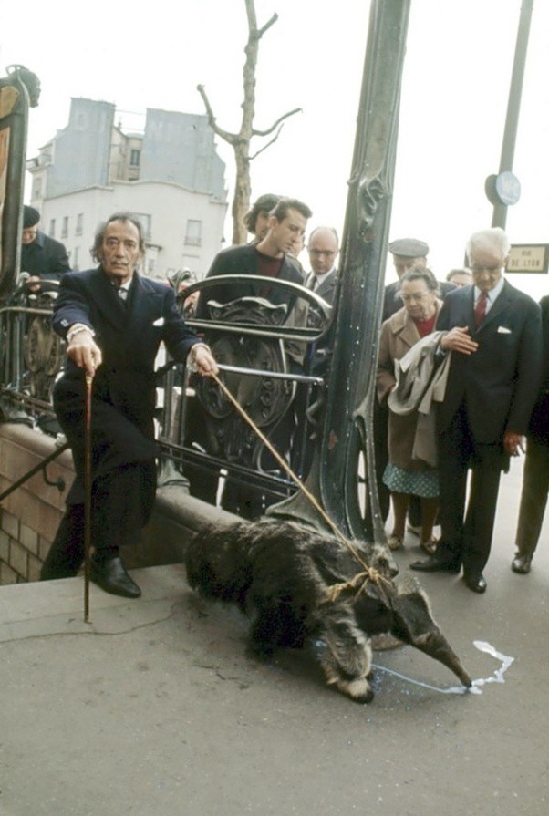 Salvador Dali taking his anteaters for a walk in Paris, 1969.