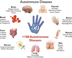Are Rh negatives more likely to suffer from autoimmune disorders?