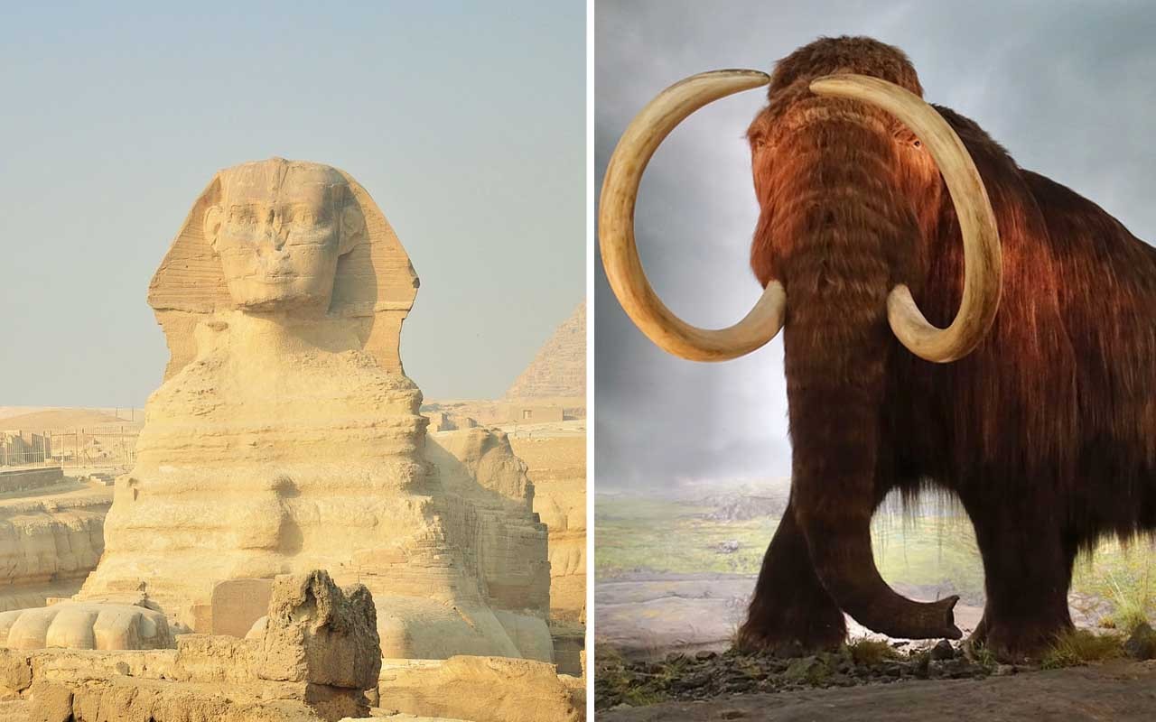 During the building of the Great Pyramids, mammoths still existed.