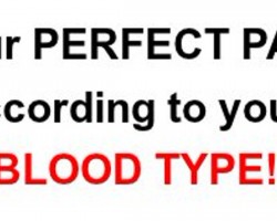 What does your blood type say about your personality?