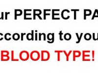 What does your blood type say about your personality?