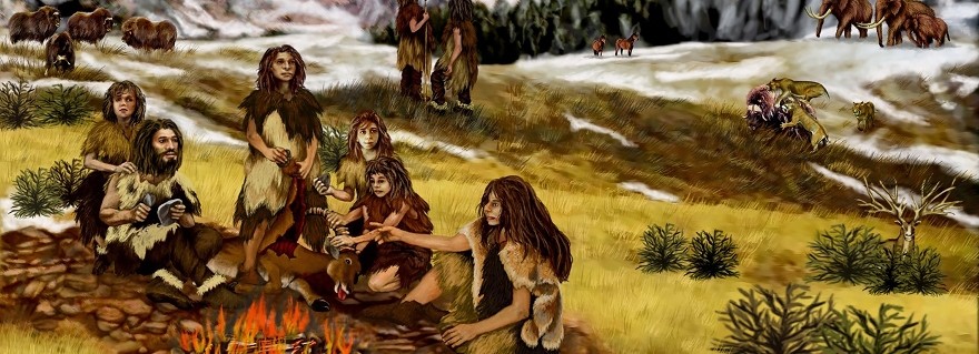 Neanderthals consumed around 80% meat and around 20% vegetables.