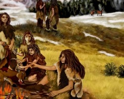 Neanderthals consumed around 80% meat and around 20% vegetables.